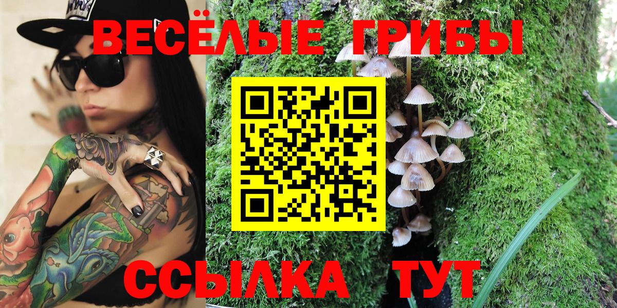 хочу наркоту  Псилоцибиновые грибы Magic Shrooms  Вход с VPN  Белорецк 